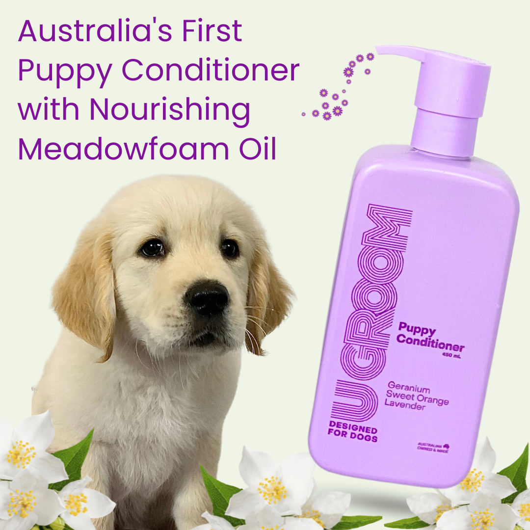 UGroom Puppy Conditioner