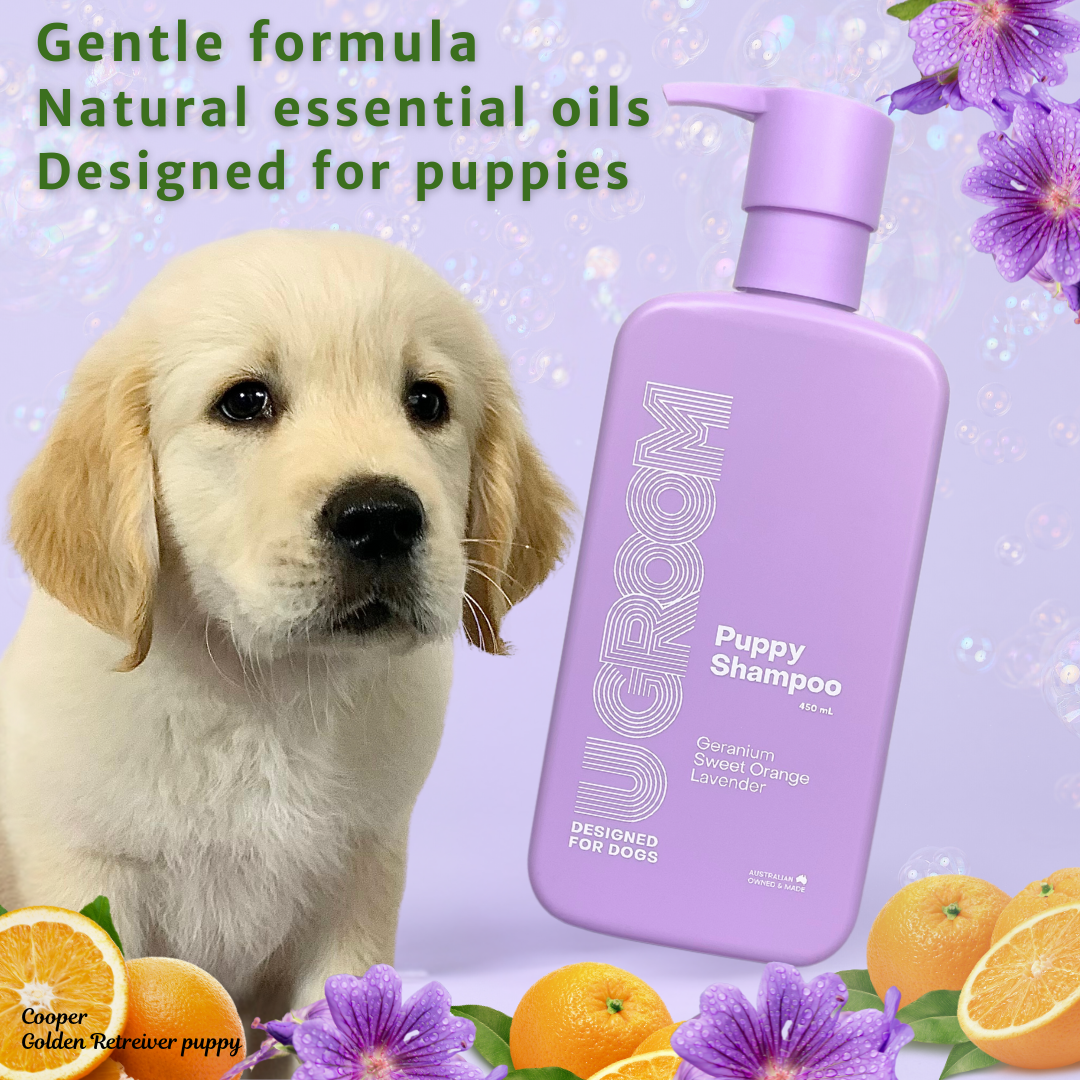 UGroom Puppy Shampoo